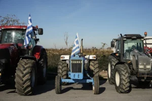 Çiftçiler isyanda: yüz binlerce koyun ve keçi itlaf edildi