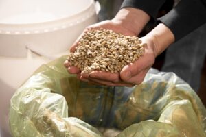 Hububat ihracatında güçlü artış: 3,2 milyar dolara ulaştı