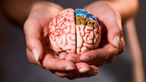 Beyninizi 8 sene birden gençleştiriyor! Şartlara sahip olan yaşadı