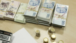 Vatandaşlık maaşı başvurusu 2025: Ne kadar, kaç TL ödenecek? Başvuru ekranı…